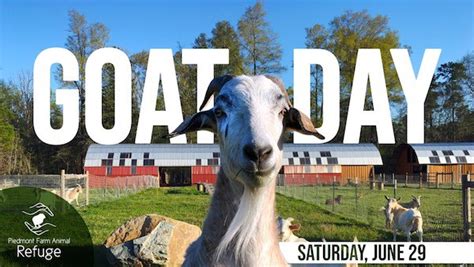 billy goat day 2024